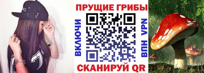 Псилоцибиновые грибы мицелий  где купить наркоту  Белоярский 